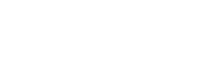 Dirigium AI